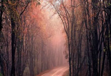 西班牙人对阵皇家马德里，这场德比战藏着多少惊喜与恩怨？